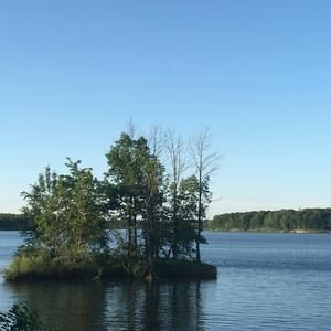 Meet your Posher, Jared